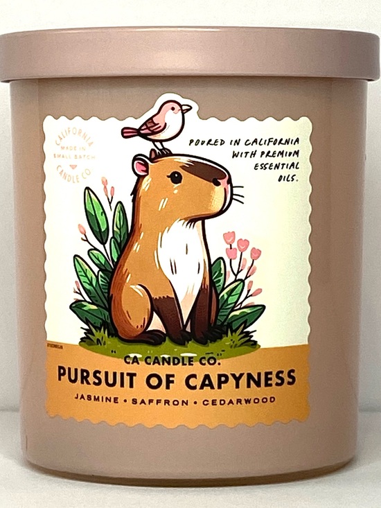 Other - CA Candle Co. "Pursuit of Capyness" Jasmine Saffron Cedarwood Candle - Beige